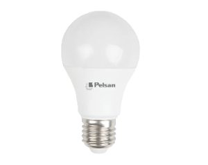 BULBS